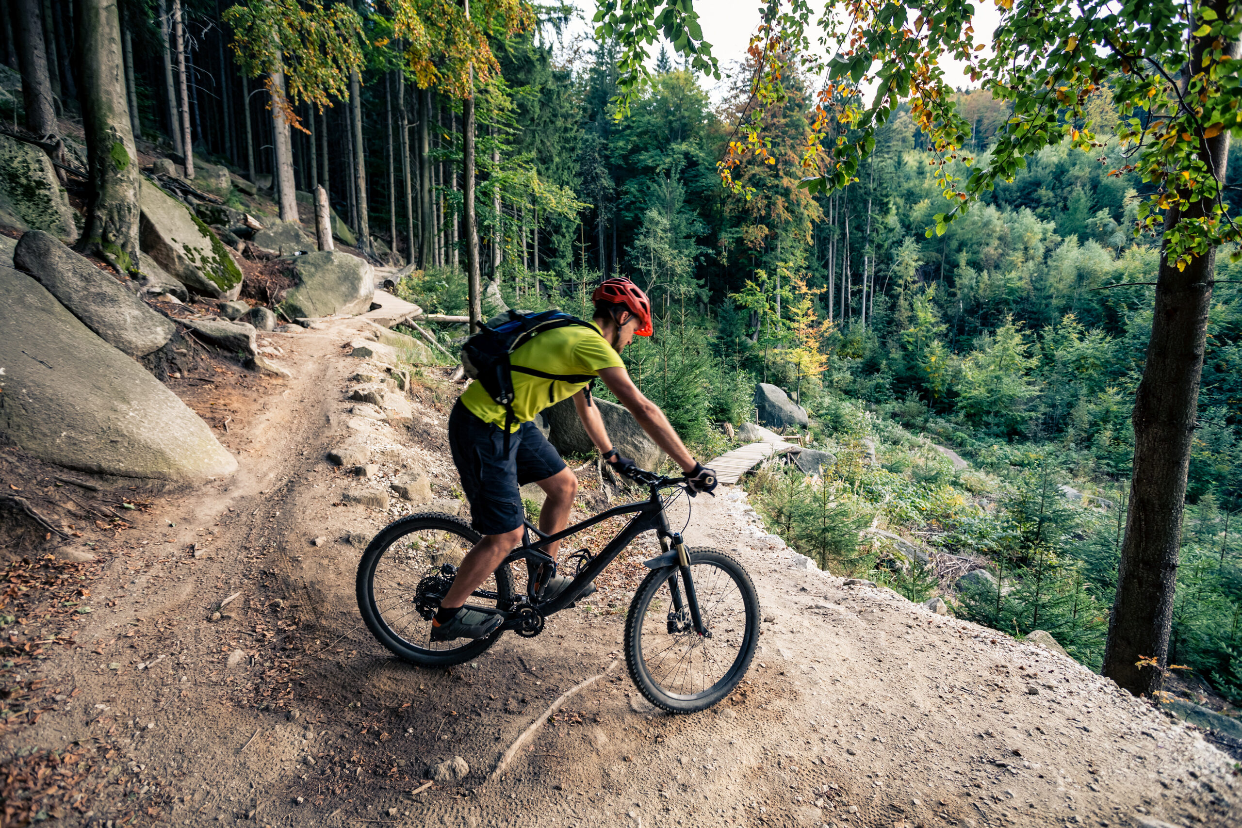 VTT